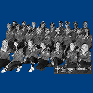 FC Heimertingen Gymnastik Icon